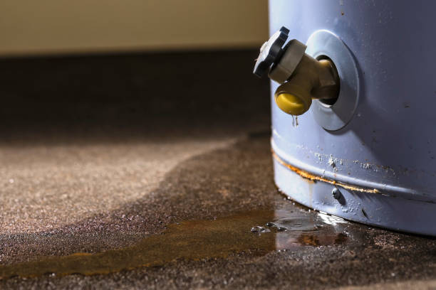 , WA Water damage restoration Company