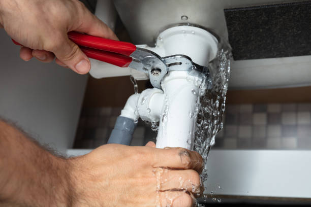 Best Local water damage restoration  in East Renton Highlands, WA