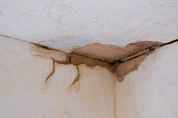Water damage restoration insurance claims in WA