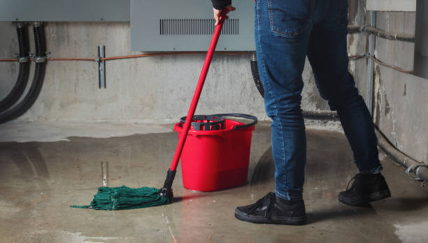 Best Water damage cleanup near me  in East Renton Highlands, WA