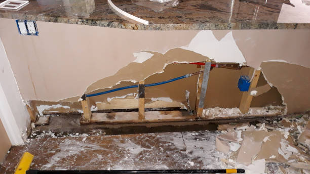Best Ceiling water damage repair  in East Renton Highlands, WA