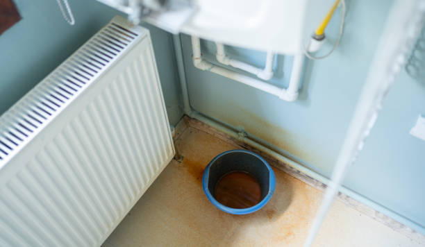 Best Fire Damage Restoration  in East Renton Highlands, WA