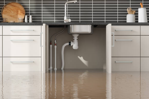 Best 24/7 water damage repair  in East Renton Highlands, WA