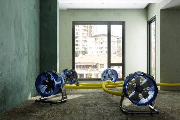 Best Water damage contractors near me  in East Renton Highlands, WA