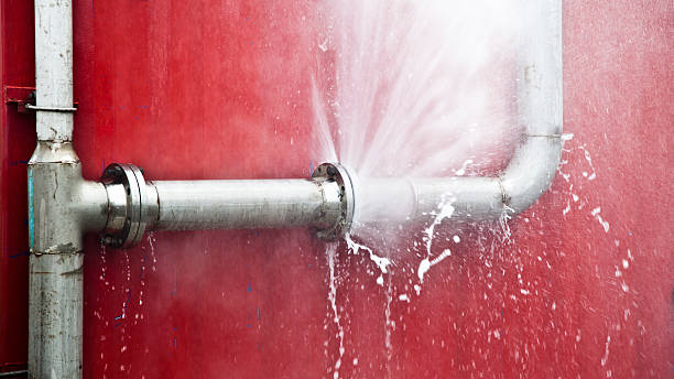  East Renton Highlands, WA Water damage restoration Pros